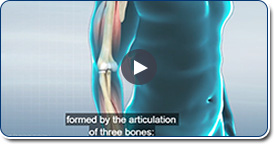 Elbow Arthroscopy