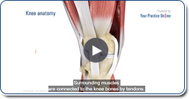 Arthroscopy of the Knee Joint