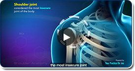 Normal Anatomy of the Shoulder Joint